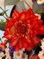 Wildflower Tulip Basket Wreath